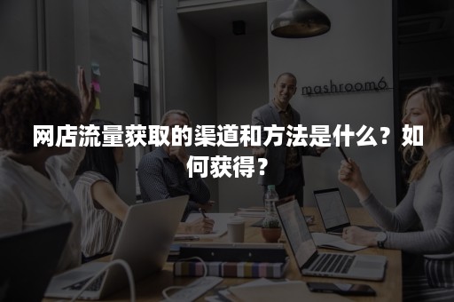 网店流量获取的渠道和方法是什么？如何获得？