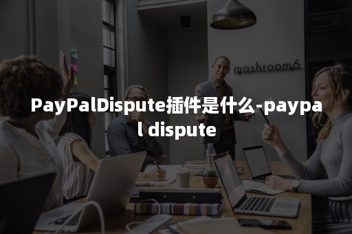 PayPalDispute插件是什么-paypal dispute