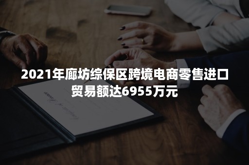 2021年廊坊综保区跨境电商零售进口贸易额达6955万元