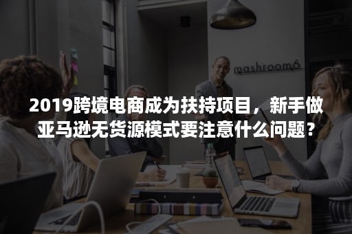 2019跨境电商成为扶持项目，新手做亚马逊无货源模式要注意什么问题？