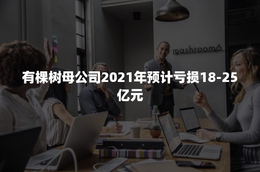 有棵树母公司2021年预计亏损18-25亿元