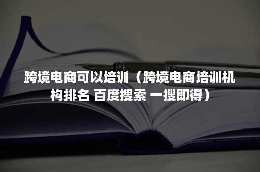 跨境电商可以培训（跨境电商培训机构排名 百度搜索 一搜即得）