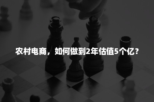 农村电商，如何做到2年估值5个亿？