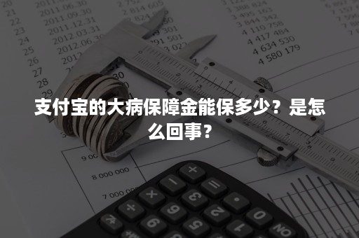 支付宝的大病保障金能保多少？是怎么回事？