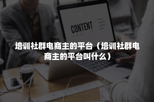 培训社群电商主的平台（培训社群电商主的平台叫什么）