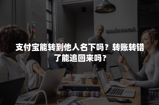 支付宝能转到他人名下吗？转账转错了能追回来吗？