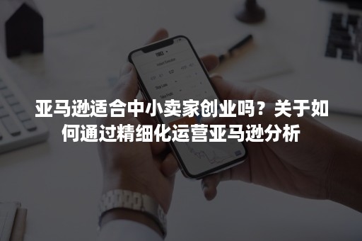 亚马逊适合中小卖家创业吗？关于如何通过精细化运营亚马逊分析