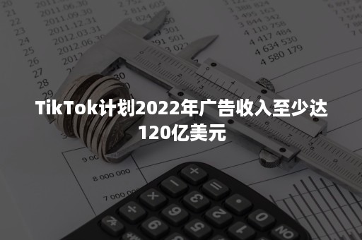 TikTok计划2022年广告收入至少达120亿美元