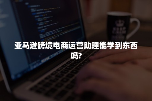 亚马逊跨境电商运营助理能学到东西吗?