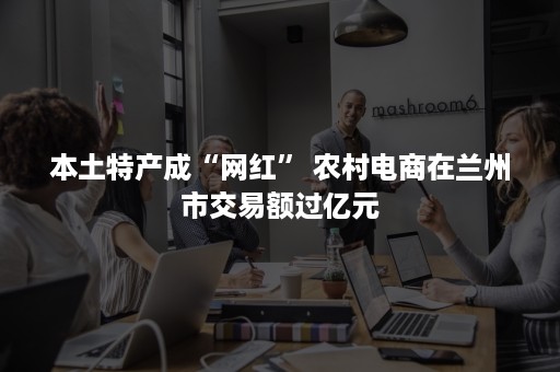 本土特产成“网红” 农村电商在兰州市交易额过亿元