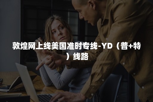 敦煌网上线美国准时专线-YD（普+特）线路