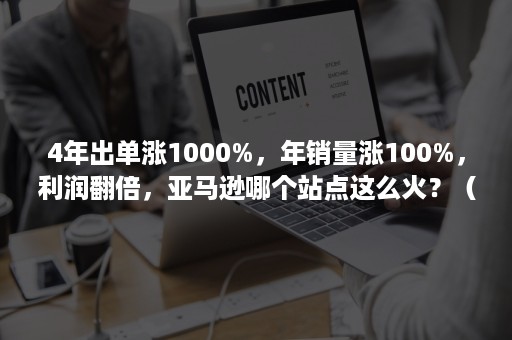 4年出单涨1000%，年销量涨100%，利润翻倍，亚马逊哪个站点这么火？（亚马逊涨幅）