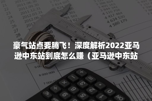 豪气站点要腾飞！深度解析2022亚马逊中东站到底怎么赚（亚马逊中东站点好做吗）