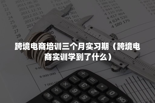 跨境电商培训三个月实习期（跨境电商实训学到了什么）