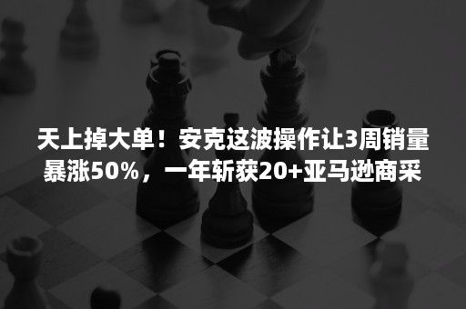 天上掉大单！安克这波操作让3周销量暴涨50%，一年斩获20+亚马逊商采大单！