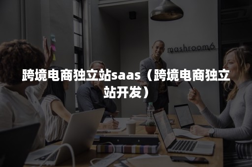 跨境电商独立站saas（跨境电商独立站开发）