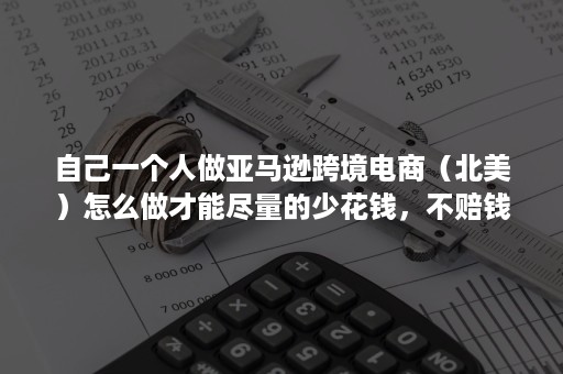 自己一个人做亚马逊跨境电商（北美）怎么做才能尽量的少花钱，不赔钱，能赚钱