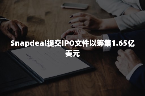 Snapdeal提交IPO文件以筹集1.65亿美元