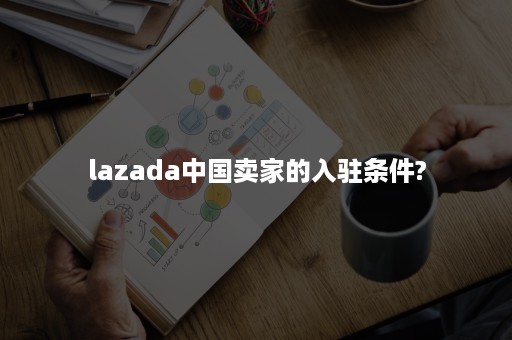 lazada中国卖家的入驻条件?