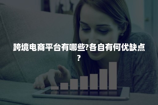 跨境电商平台有哪些?各自有何优缺点?