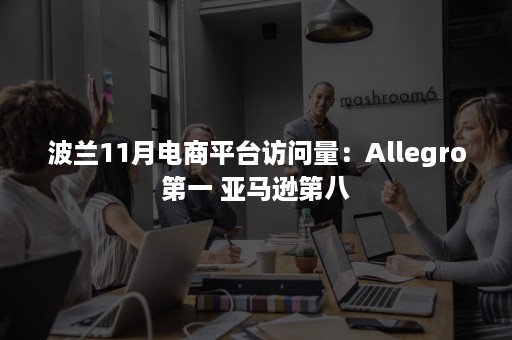 波兰11月电商平台访问量：Allegro第一 亚马逊第八