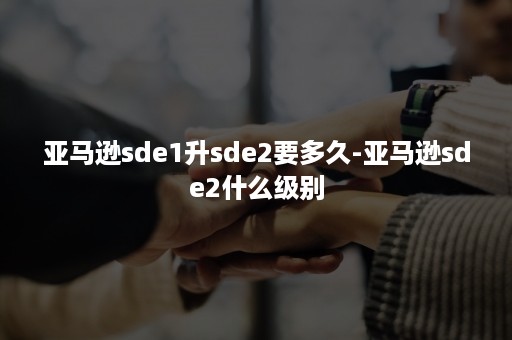 亚马逊sde1升sde2要多久-亚马逊sde2什么级别