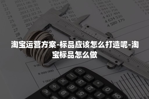 淘宝运营方案-标品应该怎么打造呢-淘宝标品怎么做