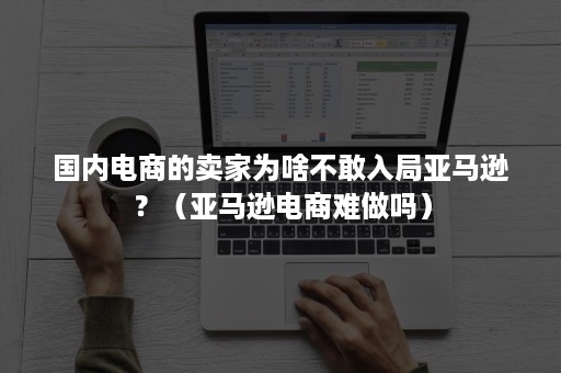 国内电商的卖家为啥不敢入局亚马逊？（亚马逊电商难做吗）
