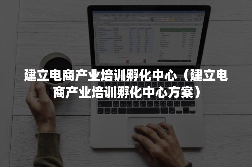 建立电商产业培训孵化中心（建立电商产业培训孵化中心方案）
