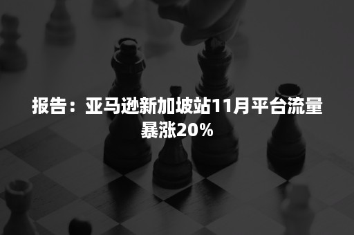 报告：亚马逊新加坡站11月平台流量暴涨20%