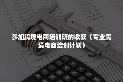 参加跨境电商培训班的收获（专业跨境电商培训计划）