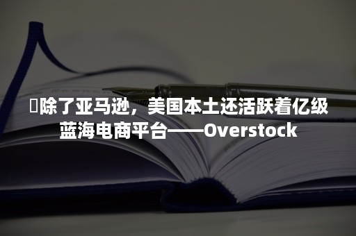 ​除了亚马逊，美国本土还活跃着亿级蓝海电商平台——Overstock