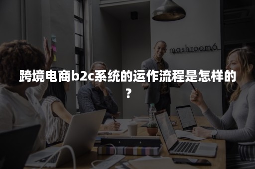 跨境电商b2c系统的运作流程是怎样的？