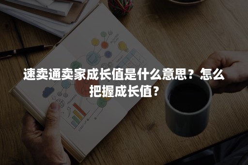 速卖通卖家成长值是什么意思？怎么把握成长值？