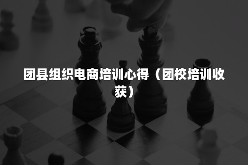 团县组织电商培训心得（团校培训收获）