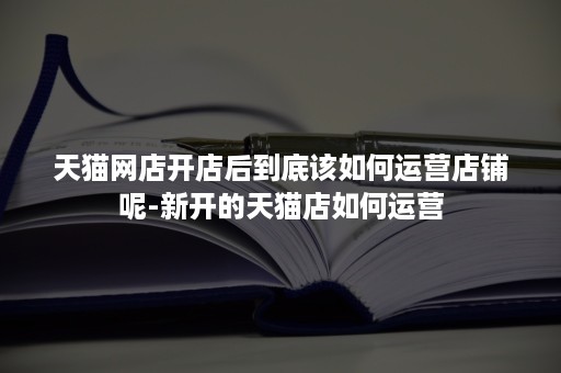 天猫网店开店后到底该如何运营店铺呢-新开的天猫店如何运营