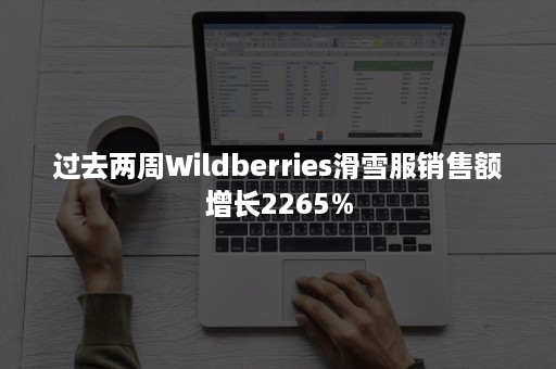 过去两周Wildberries滑雪服销售额增长2265%