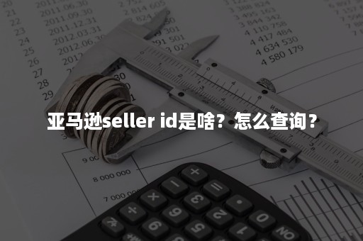 亚马逊seller id是啥？怎么查询？