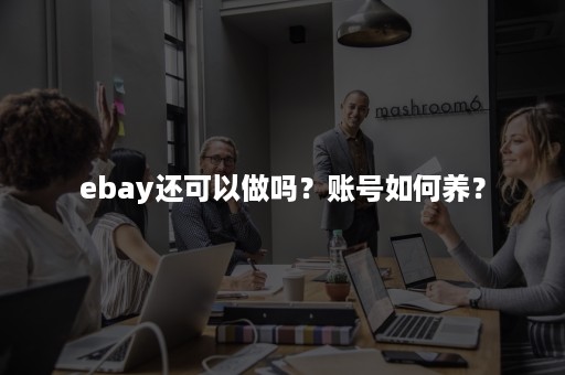 ebay还可以做吗？账号如何养？