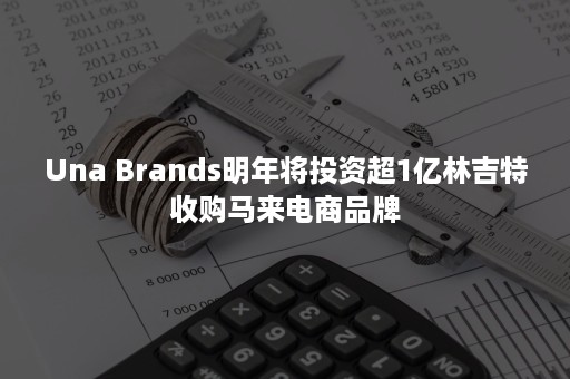 Una Brands明年将投资超1亿林吉特收购马来电商品牌