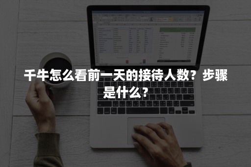 千牛怎么看前一天的接待人数？步骤是什么？