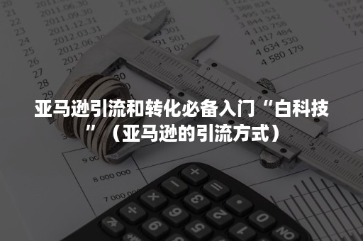 亚马逊引流和转化必备入门“白科技”（亚马逊的引流方式）