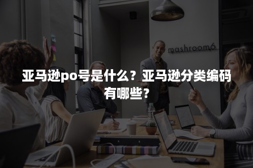 亚马逊po号是什么？亚马逊分类编码有哪些？