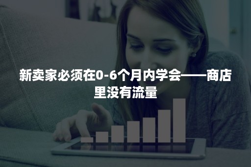 新卖家必须在0-6个月内学会——商店里没有流量