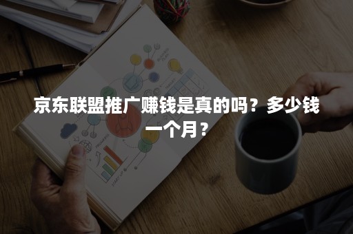 京东联盟推广赚钱是真的吗？多少钱一个月？