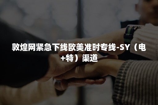 敦煌网紧急下线欧美准时专线-SY（电+特）渠道