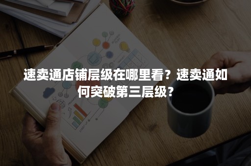 速卖通店铺层级在哪里看？速卖通如何突破第三层级？