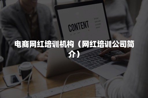 电商网红培训机构（网红培训公司简介）