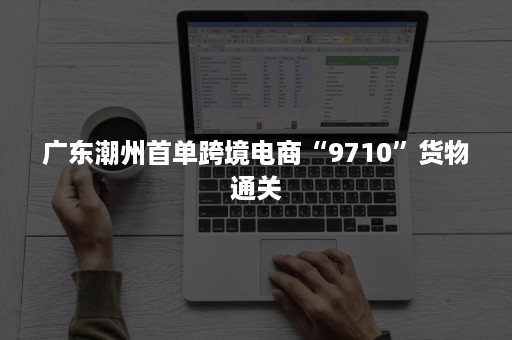 广东潮州首单跨境电商“9710”货物通关