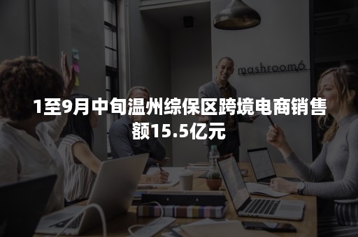 1至9月中旬温州综保区跨境电商销售额15.5亿元